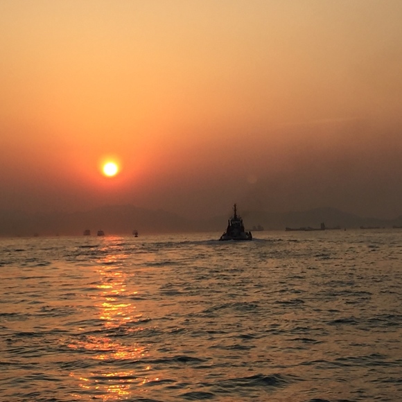 Meet your Posher, Anou. - Picture 3 of 8